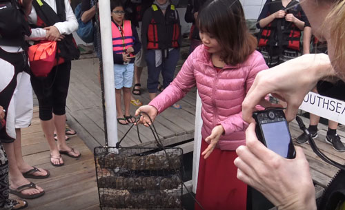 Tung Sau Pearl Farm - Paradise Cruises - Destinations